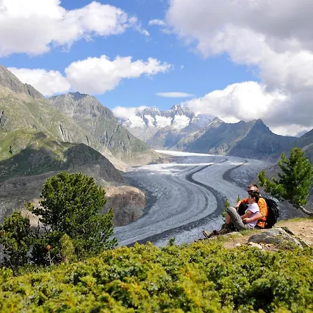 Stachelbeere Ug Fiesch