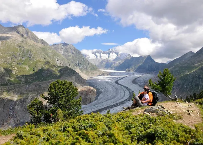 Stachelbeere Ug Fiesch