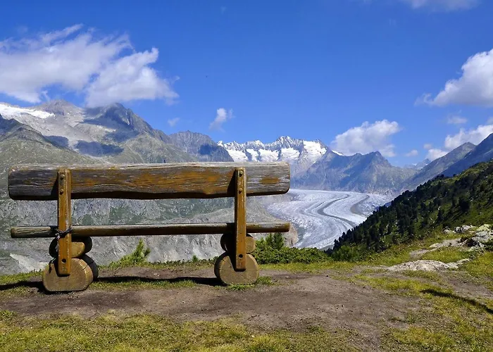 Stachelbeere Ug Daire Fiesch