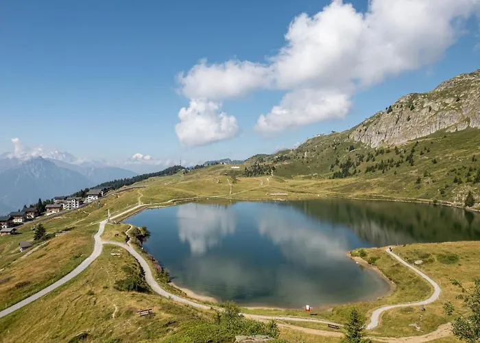 Daire Stachelbeere Ug *