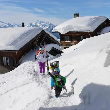 Stachelbeere Ug Fiesch